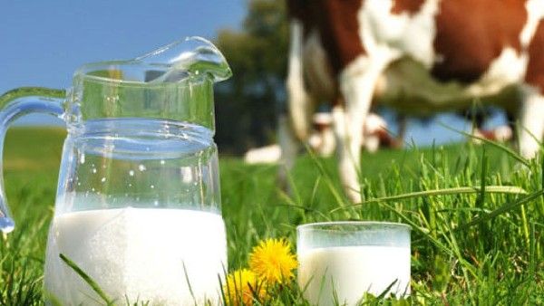 ಹೈನು ಉದ್ಯಮ ಸಂಕಷ್ಟದಲ್ಲಿದೆ, ಹಾಲಿನ ದರ ಹೆಚ್ಚಳಕ್ಕೆ ಬಮುಲ್ ಅಧ್ಯಕ್ಷರ ಆಗ್ರಹ