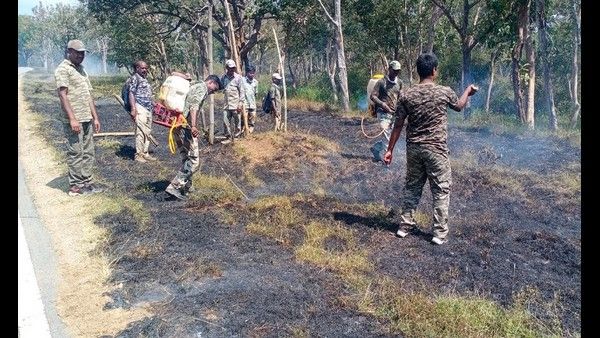 ಬಂಡೀಪುರದಲ್ಲಿ ಕಾಡ್ಗಿಚ್ಚು ತಡೆಗೆ ಅರಣ್ಯ ಸಿಬ್ಬಂದಿ ಸನ್ನದ್ಧ!