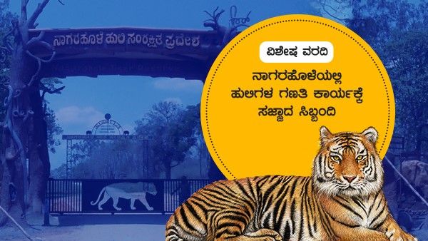 ನಾಗರಹೊಳೆಯಲ್ಲಿ ಹುಲಿಗಳ ಗಣತಿ ಕಾರ್ಯಕ್ಕೆ ಸಜ್ಜಾದ ಅರಣ್ಯ ಸಿಬ್ಬಂದಿ