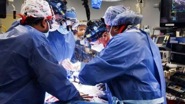 ವ್ಯಕ್ತಿಗೆ ಹಂದಿ ಹೃದಯ ಕಸಿ: ಅಮೆರಿಕಾ ವೈದ್ಯರ ಹೊಸ ದಾಖಲೆ