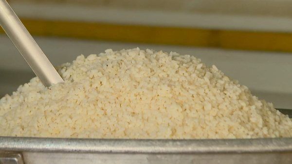 ಸ. ರಘುನಾಥ ಅಂಕಣ: ಅನ್ನ ಪ್ರಸಾದವಾಗಿಯೂ, ಪ್ರಸಾದ ನೀಡುವ ಭಕ್ತಿಯಲ್ಲಿಯೂ