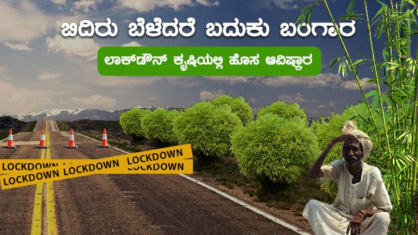ಅರ್ಜಿ ಸಲ್ಲಿಸಿ 18,000 ಪಡೆಯಿರಿ: 3 ವರ್ಷ ಬಿದಿರು ಬೆಳೆದು 80 ವರ್ಷ ಲಾಭ ಗಳಿಸಿ!