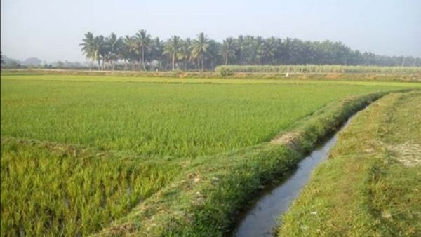 ದಿಢೀರ್ ಏರಿಕೆಯಾಗಿದ್ದ ಜಮೀನು ಸರ್ವೆ ಶುಲ್ಕ ಶೇ.50ರಷ್ಟು ಇಳಿಕೆ