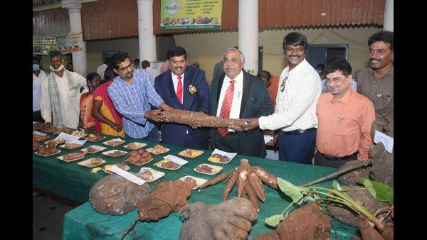 ಫೆ.12ರಿಂದ ಮೈಸೂರಿನಲ್ಲಿ ಗೆಡ್ಡೆ- ಗೆಣಸು ಮೇಳಕ್ಕೆ ಚಾಲನೆ