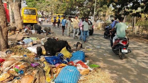 ದಾವಣಗೆರೆ: ದುರ್ಗಾಂಬಿಕಾ ಜಾತ್ರೆ ಮುಗೀತು, ತ್ಯಾಜ್ಯದ್ದೇ ಕಾರುಬಾರು; ಪಾಲಿಕೆ ನಿರ್ಲಕ್ಷ್ಯಕ್ಕೆ ಹಿಡಿಶಾಪ