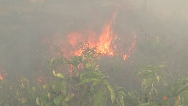 ಚಿಕ್ಕಮಗಳೂರು; ಹೆಚ್ಚಾಯ್ತು ಕಾಡ್ಗಿಚ್ಚು, ಜನರು ಆಕ್ರೋಶ