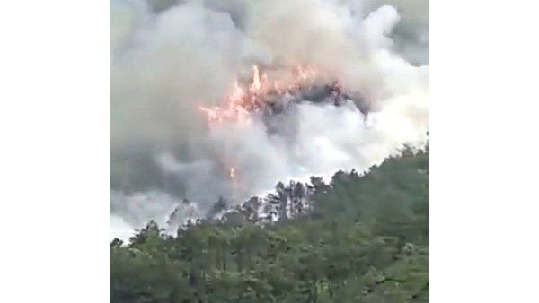 ಚೀನಾ ವಿಮಾನ ಪತನ ಎಲ್ಲಾಯ್ತು, ಹೇಗಾಯ್ತು, ಮೋದಿ ಟ್ವೀಟ್ ಕುರಿತು ವರದಿ