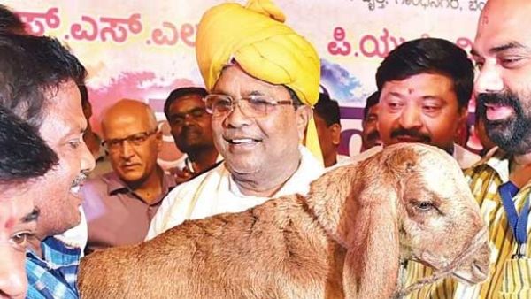 ಬನ್ನಿ ನಿಮ್ಮನ್ನು ಗೆಲ್ಲಿಸುತ್ತೇವೆ: ಸಿದ್ದರಾಮಯ್ಯಗೆ ಬಿಜೆಪಿ ಶಾಸಕನ ಆಫರ್