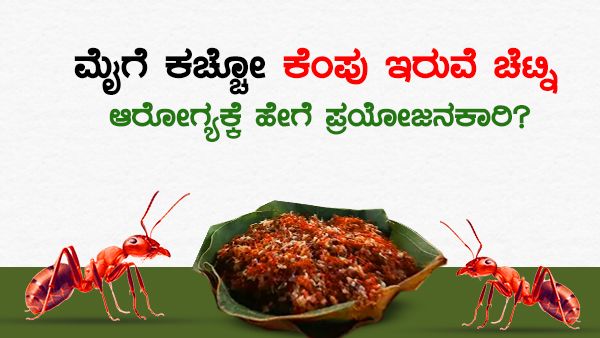 ಮೈಗೆ ಕಚ್ಚೋ ಕೆಂಪು ಇರುವೆ ಚಟ್ನಿ ಆರೋಗ್ಯಕ್ಕೆ ಹೇಗೆ ಪ್ರಯೋಜನಕಾರಿ?