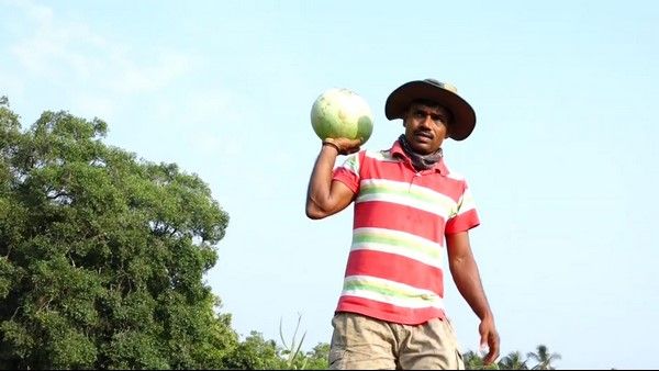 ಕೃಷಿ ವಿಶೇಷ: ಕರಾವಳಿ ಮಣ್ಣಿನಲ್ಲಿ ಕಲ್ಲಂಗಡಿ ಬೆಳೆದ ಕೃಷಿಕ; ಹೊಸ ಪ್ರಯೋಗಕ್ಕೆ ಭಾರೀ ಬೇಡಿಕೆ