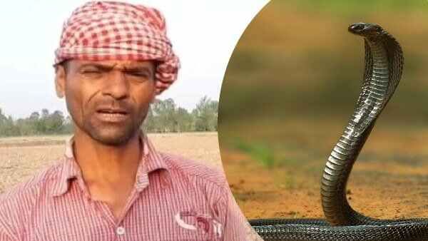 7 ತಿಂಗಳಲ್ಲಿ 7 ಬಾರಿ ಕಚ್ಚಿದ ಸರ್ಪ: ಇದರ ಸೇಡಿಗೆ ಕಾರಣವೇನು ಗೊತ್ತಾ?