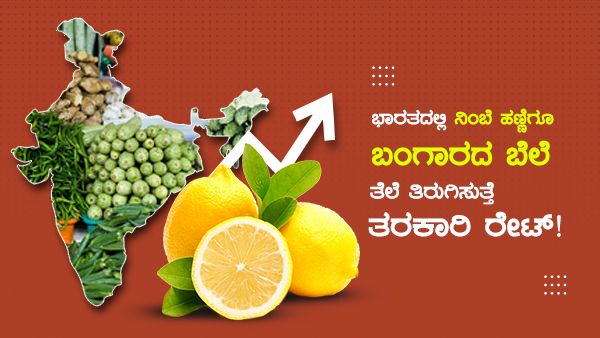 ದಿಲ್ಲಿ ಆಗಲಿ, ಬೆಂಗಳೂರ್ ಆಗಲಿ; ಬಜಾರ್ ದಾಗ್ ತರಕಾರಿ ಬಲು ದುಬಾರಿ!