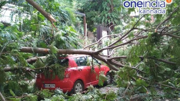 ಅವೈಜ್ಞಾನಿಕ ಕಾಮಗಾರಿಗಳೇ ಮರಗಳು ಧರೆಗುರುಳಲು ಕಾರಣ : ಅರಣ್ಯ ಇಲಾಖೆ ಎಚ್ಚರಿಕೆ