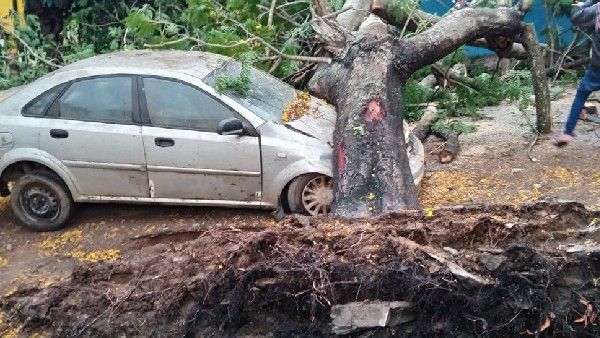 ಗದಗದಲ್ಲಿ ಮಳೆ ಅವಾಂತರ; ರೇಷ್ಮೆ ಬೆಳೆ ರೈತ ಕಂಗಾಲು