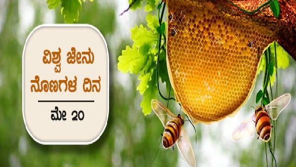 ವಿಶ್ವ ಜೇನು ನೊಣಗಳ ದಿನ, ಮಹತ್ವ, ಇತಿಹಾಸ ಅರಿಯಿರಿ