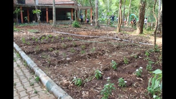 ಶಿವಮೊಗ್ಗದಲ್ಲಿ ಸಿದ್ಧವಾಗುತ್ತಿದೆ ಮೊಟ್ಟಮೊದಲ ಚಿಟ್ಟೆ ಪಾರ್ಕ್