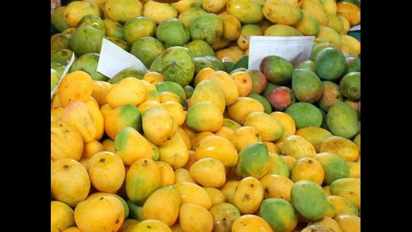 ರಾಮನಗರ ಜಿಲ್ಲೆಯಲ್ಲಿ ಮೇ 13ರಿಂದ ಮೂರು ದಿನ ಮಾವು ಮೇಳ..!