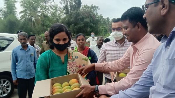 ರಾಮನಗರ ಮಾವು ಮೇಳದಲ್ಲಿ ಬಗೆಬಗೆಯ ಮಾವುಗಳು!