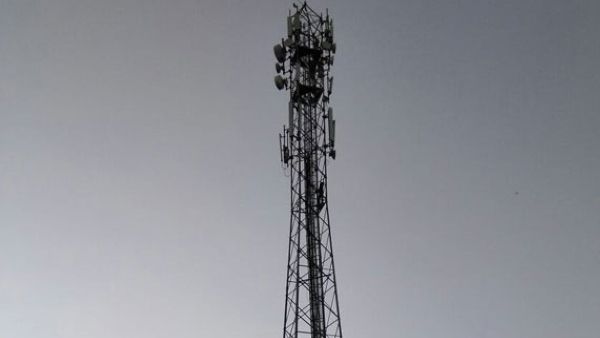 ಸಾಯಲೆಂದು ಟವರ್ ಏರಿದವಳ ಜೀವ ಉಳಿಸಿದ ಕಣಜ ಹುಳು