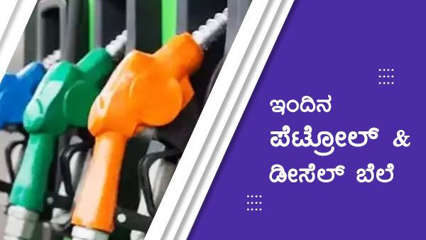 Infographics: ಮೇ 30ರಂದು ಕರ್ನಾಟಕದ ಯಾವ ಜಿಲ್ಲೆಯಲ್ಲಿ ಎಷ್ಟಿದೆ ಪೆಟ್ರೋಲ್-ಡೀಸೆಲ್ ದರ? 