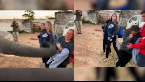 ವಿಡಿಯೋ: ತನ್ನ ಫೋಟೋ ಕ್ಲಿಕ್ಕಿಸಲು ಯತ್ನಿಸಿದ ಬಾಲಕಿಗೆ ಕಪಾಳಮೋಕ್ಷ ಮಾಡಿದ ಆನೆ