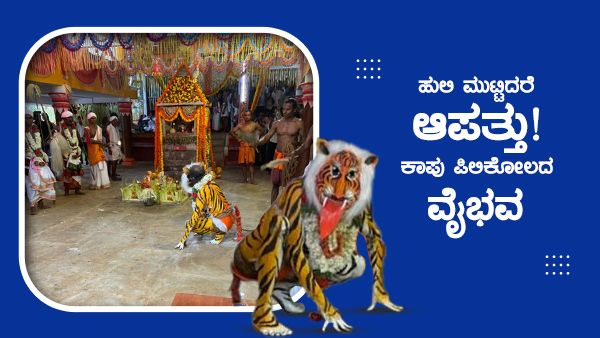 ವಿಶೇಷ: ಹುಲಿ ಮುಟ್ಟಿದರೆ ಆಪತ್ತು! ಕಾಪು ಪಿಲಿಕೋಲದ ವೈಭವ