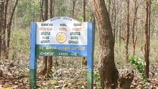 ಈ ಅರಣ್ಯ ಪ್ರದೇಶದಲ್ಲಿದೆ ಚಿಪ್... ಯಾಮಾರಿಸಿ ಕಳ್ಳತನ ಮಾಡಲು ಪ್ರಯತ್ನಿಸಿದರೆ ಹುಷಾರ್..!