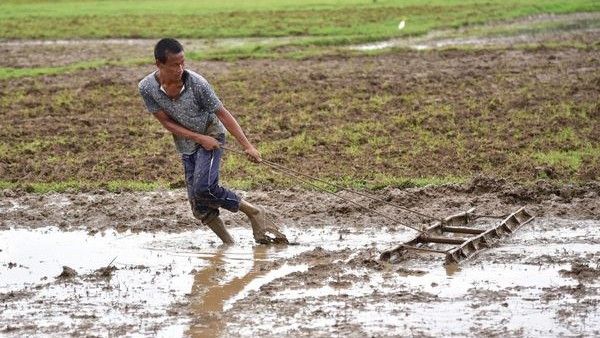 ಕರ್ನಾಟಕ; ಸರ್ಕಾರದ ನಿರ್ಲಕ್ಷ್ಯ, ರಸಗೊಬ್ಬರ ಅಭಾವ?