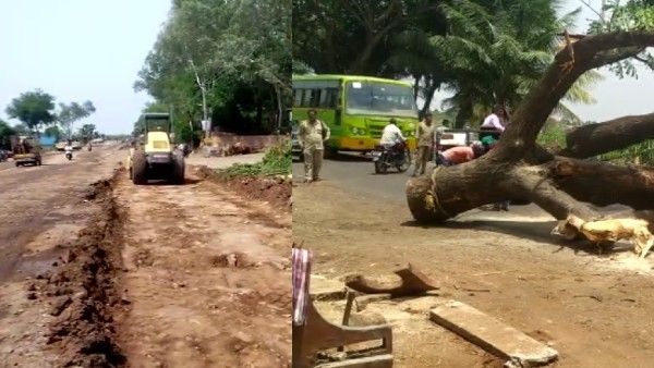 ಬಾಗಲಕೋಟೆ: ರಸ್ತೆ ಅಗಲೀಕರಣಕ್ಕಾಗಿ ಮರಗಳ ಹನನ