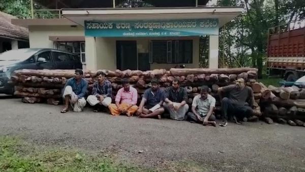 ತಿರುಪತಿ ಅರಣ್ಯದಿಂದ ಮಂಗಳೂರಿಗೆ 4 ಕೋಟಿ ರೂ. ಮೌಲ್ಯದ ರಕ್ತಚಂದನ ಸಾಗಾಟ