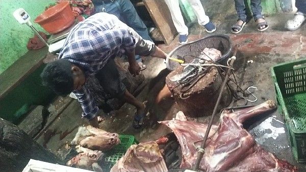 ಅಕ್ರಮ ಕಸಾಯಿಖಾನೆ ಮೇಲೆ ನಗರಸಭೆ ದಾಳಿ