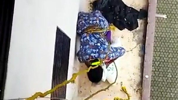 7ನೇ ಮಹಡಿಯಿಂದ ಬಿದ್ದ ಪರ್ಶಿಯನ್ ಬೆಕ್ಕು ರಕ್ಷಿಸಿದ ರಜನಿ