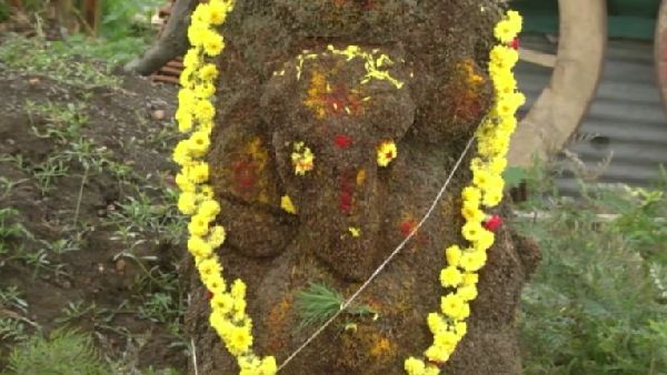 ಈಚಲು ಮರದಲ್ಲಿ ಮೂಡಿದ ಗಣಪ, ಜನರಿಂದ ಪೂಜೆ, ಪುನಸ್ಕಾರ ಆರಂಭ!