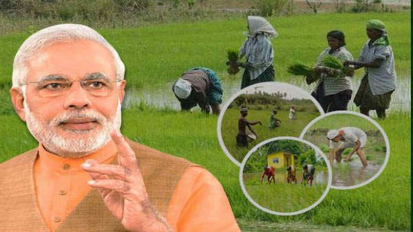 ಕರ್ನಾಟಕದ 63 ಲಕ್ಷ ರೈತರ ಖಾತೆಗೆ 11ನೇ ಕಂತು: ಕೇಂದ್ರದಿಂದ 1269.85 ಕೋಟಿ ಬಿಡುಗಡೆ