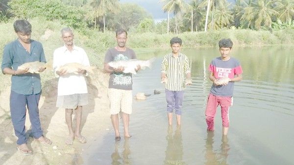 ಮಾರದೇವನಹಳ್ಳಿ ಕೆರೆಗೆ ವಿಷಹಾಕಿದ ಕಿಡಿಗೇಡಿಗಳು, ಸಾವಿರಾರು ಮೀನುಗಳ ಮಾರಣಹೋಮ