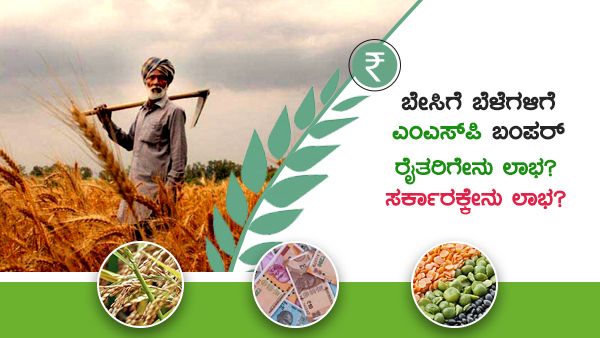 ಬೇಸಿಗೆ ಬೆಳೆಗೆ 5 ರಿಂದ 20ರಷ್ಟು ಬೆಂಬಲ ಬೆಲೆ: ರೈತರಿಗೇನು ಲಾಭ; ಸರ್ಕಾರಕ್ಕೇನು ಲಾಭ?