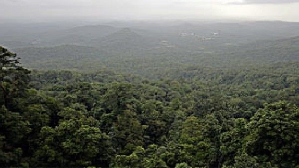 ಕಸ್ತೂರಿ ರಂಗನ್ ವರದಿಗೆ ರಾಜ್ಯ ಸಂಪುಟ ಸಭೆಯಲ್ಲಿ ಭಾರಿ ವಿರೋಧ