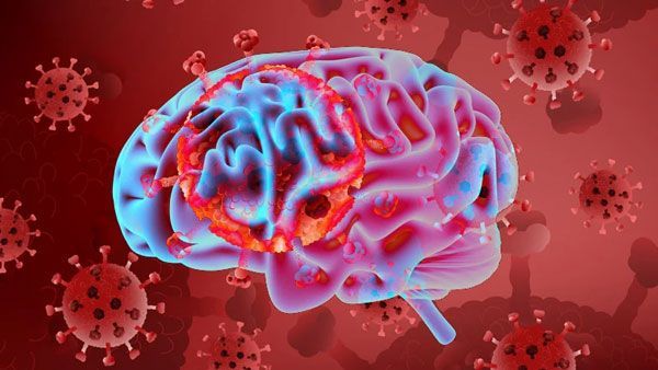 Important News: ಕೊರೊನಾ ವೈರಸ್ ಪ್ರತಿಕಾಯವೇ ಮೆದುಳಿಗೆ ಅಪಾಯ!