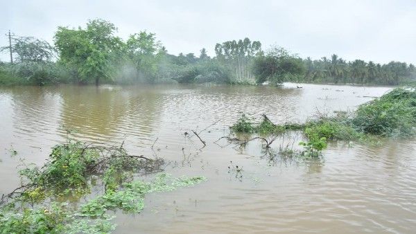 ಬೆಣ್ಣೆನಗರಿ ದಾವಣಗೆರೆಯಲ್ಲಿ ವರುಣಾರ್ಭಟ: ಯಲ್ಲೋ ಅಲರ್ಟ್, ಕಟ್ಟೆಚ್ಚರ