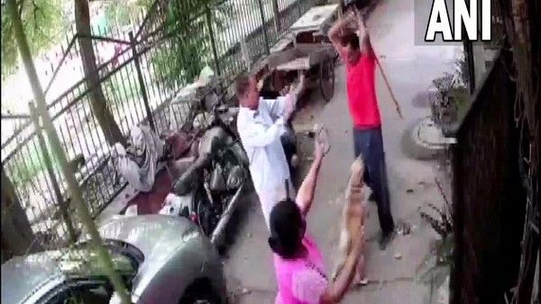 Video: ನಾಯಿ ಕಚ್ಚಿದವನು ಮತ್ತು ನಾಯಿಗೇ ಕಚ್ಚಿದವನ ಕಥೆ ಒಂದು 'ವಿಡಿಯೋ' ಜೊತೆ!