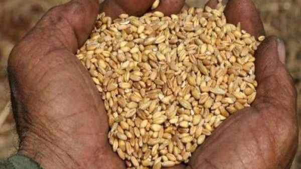 ಬೆಂಗಳೂರಲ್ಲಿ ಗೋಧಿ, ಎಣ್ಣೆ ದುಬಾರಿ, ಬ್ರೇಡ್‌ ಬೆಲೆಯೂ 5 ರೂ. ಹೆಚ್ಚಳ