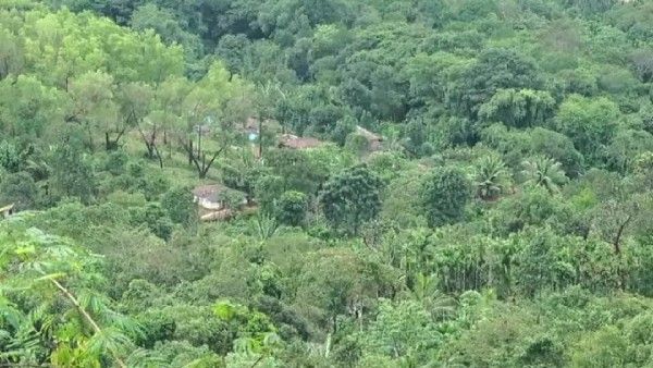 ಕಸ್ತೂರಿ ರಂಗನ್ ವರದಿ ಜಾರಿಗೆ ಒಂದು ವರ್ಷ ಕಾಲಾವಕಾಶ: ನಿಟ್ಟುಸಿರು ಬಿಟ್ಟ ಹಾಸನ ಜನತೆ