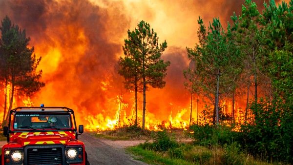ಯೂರೋಪ್‌ ದೇಶಗಳಲ್ಲಿ ಶಾಖದ ಅಲೆಯ ಹೊಡೆತಕ್ಕೆ ನೂರಾರು ಮಂದಿ ಸಾವು, ಅರಣ್ಯ ನಾಶ