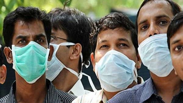 ಎರಡು ಫಾರ್ಮ್‌ಗಳಲ್ಲಿ ಹಂದಿಜ್ವರ; ಅಲರ್ಟ್ ಆಯ್ತು ಕೇರಳ ಗೌರ್ಮೆಂಟ್!