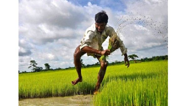 ಜೂನ್ ಅಂತ್ಯಕ್ಕೆ ಮುಂಗಾರು ಹಂಗಾಮು ಬಿತ್ತನೆಯಲ್ಲಿ ಶೇ 7ರಷ್ಟು ಏರಿಕೆ