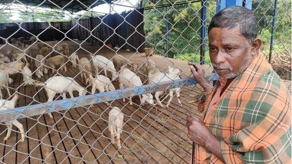 ಬೆಂಗಳೂರಿನ ನಿರಾಶ್ರಿತರ ಪರಿಹಾರ ಕೇಂದ್ರದ ಕುರಿ ಸಾಕಾಣಿಕೆ ಕಥೆ!
