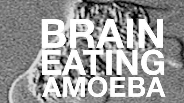 ಮೆದುಳು ತಿನ್ನುವ ಅಮೀಬಾ: ಅಮೇರಿಕಾದಲ್ಲಿ ಮತ್ತೊಂದು ಬಾಲಕಿ ಬಲಿ!