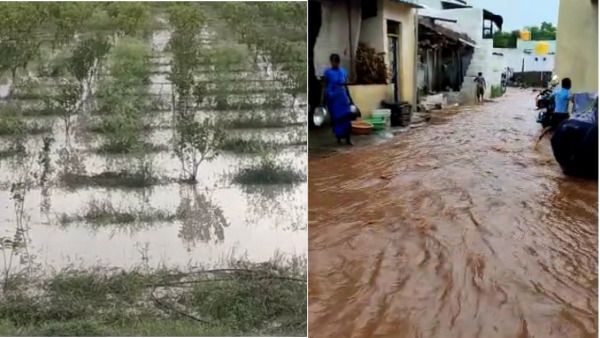 ಬಾದಾಮಿಯಲ್ಲಿ ಮಳೆ: ಜಮೀನಿಗೆ ನೀರು ನುಗ್ಗಿ ನಷ್ಟ