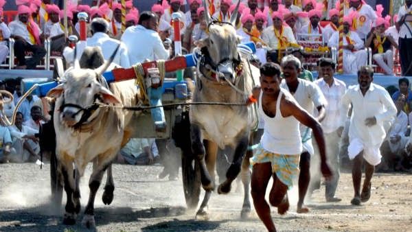 ಕರ್ನಾಟಕ: ಶೀಘ್ರದಲ್ಲೇ ಪಂಚಾಯತ್ ಮಟ್ಟದಿಂದ ಎತ್ತಿನಗಾಡಿ ಓಟದ ಸ್ಪರ್ಧೆಗಳು ಪ್ರಾರಂಭ
