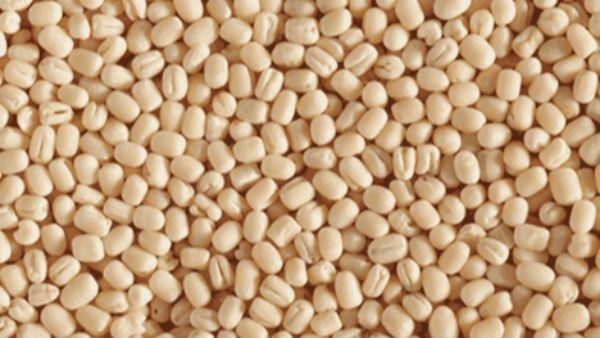 ಅಧಿಕ ಮಳೆಯಿಂದ ಬೆಳೆ ಹಾನಿ: ತೊಗರಿ, ಉದ್ದಿನ ಬೇಳೆ ಕಾಳುಗಳ ಬೆಲೆ ಶೇ.15 ಏರಿಕೆ